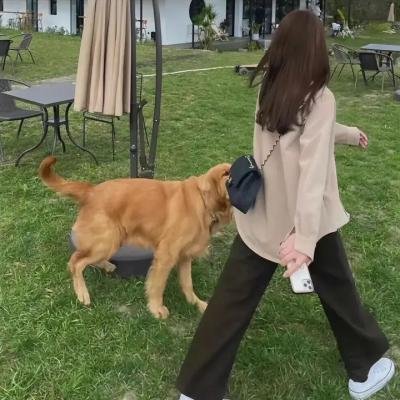 性爱团团转