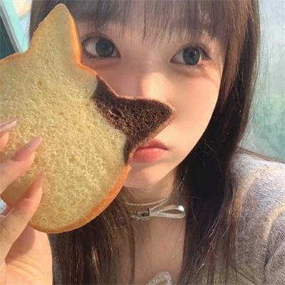 巴塔哥尼亚